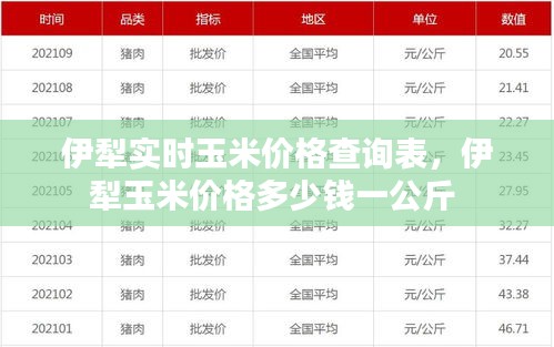 伊犁实时玉米价格查询表,伊犁玉米价格多少钱一公斤