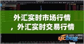 外汇实时市场行情,外汇实时交易行情