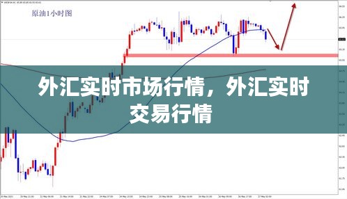 外汇实时市场行情,外汇实时交易行情