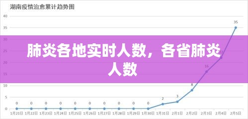 肺炎各地实时人数,各省肺炎人数
