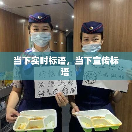 急就章 第4页