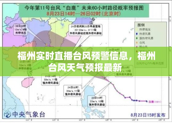 福州实时直播台风预警信息,福州台风天气预报最新