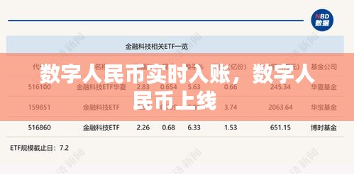 数字人民币实时入账,数字人民币上线