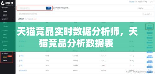 天猫竞品实时数据分析师,天猫竞品分析数据表