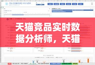 天猫竞品实时数据分析师,天猫竞品分析数据表