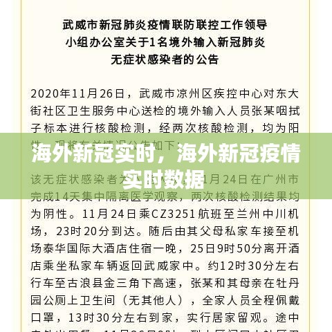 海外新冠实时,海外新冠疫情实时数据
