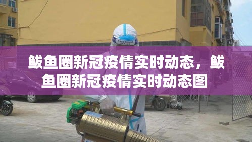 鲅鱼圈新冠疫情实时动态,鲅鱼圈新冠疫情实时动态图