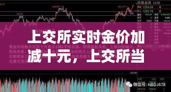 上交所实时金价加减十元,上交所当日金价