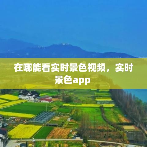在哪能看实时景色视频,实时景色app
