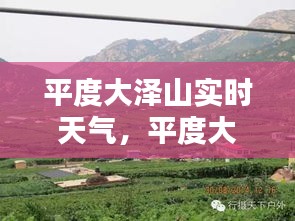 平度大泽山实时天气,平度大泽山位置