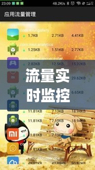 流量实时监控app下载,流量实时监控app推荐