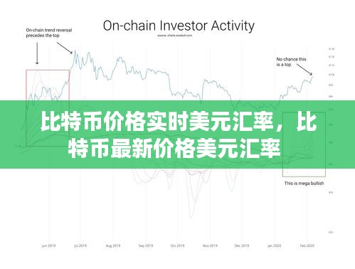 比特币价格实时美元汇率,比特币最新价格美元汇率