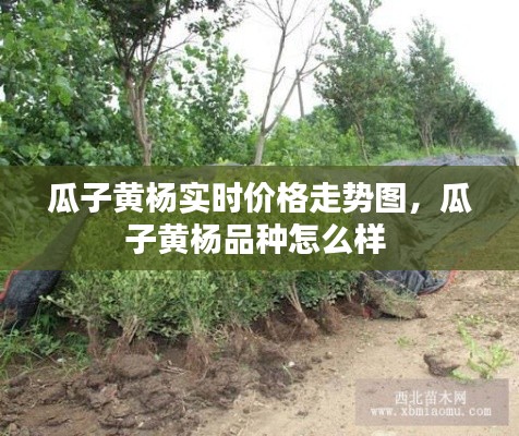 学而不厌 第5页