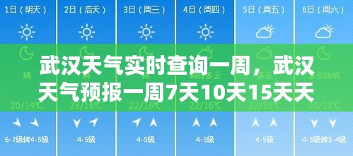 环肥燕瘦 第4页