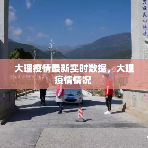 大理疫情最新实时数据,大理疫情情况