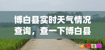 博白县实时天气情况查询,查一下博白县天气
