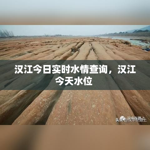 汉江今日实时水情查询,汉江今天水位