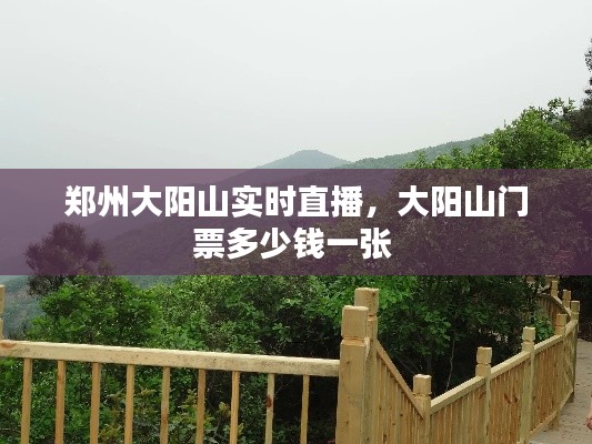 郑州大阳山实时直播,大阳山门票多少钱一张