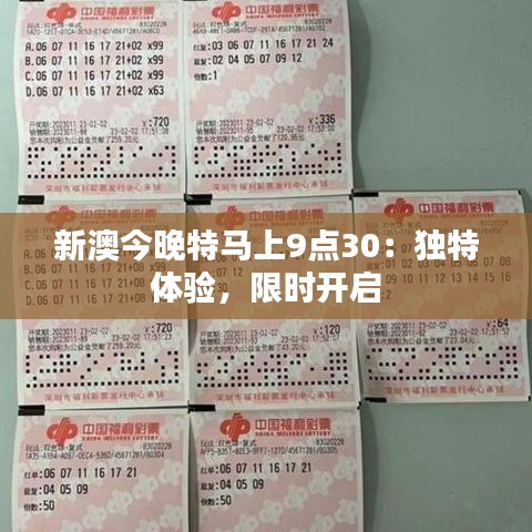 新澳今晚特马上9点30:独特体验,限时开启
