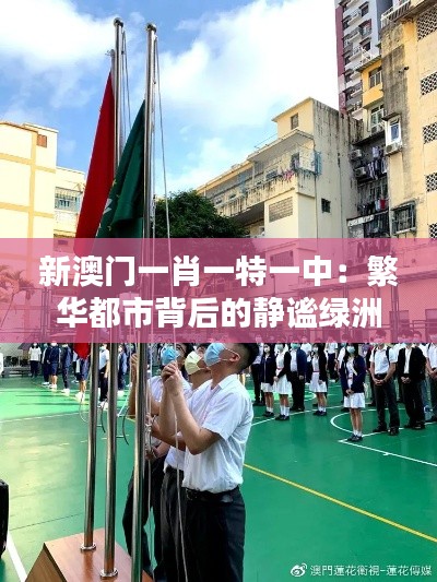 新澳门一肖一特一中:繁华都市背后的静谧绿洲