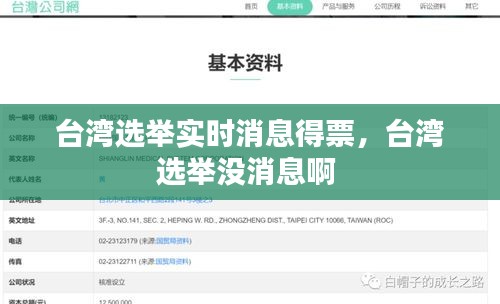 台湾选举实时消息得票,台湾选举没消息啊