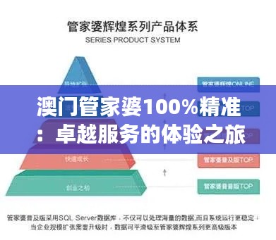 澳门管家婆100%精准:卓越服务的体验之旅