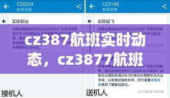 cz387航班实时动态,cz3877航班动态