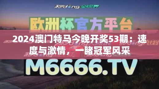 2024澳门特马今晚开奖53期:速度与激情,一睹冠军风采