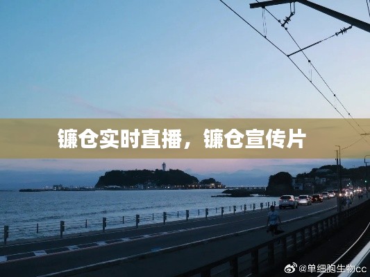镰仓实时直播,镰仓宣传片