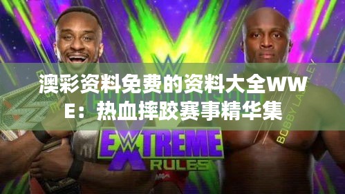 澳彩资料免费的资料大全WWE:热血摔跤赛事精华集