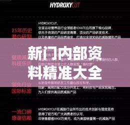 新门内部资料精准大全:精英圈层的终极知识集合