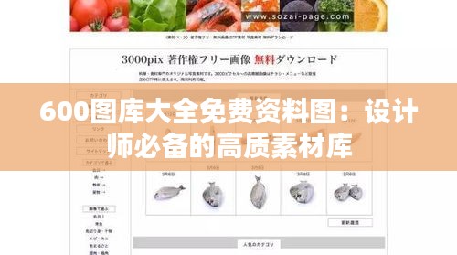 600图库大全免费资料图:设计师必备的高质素材库
