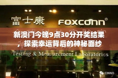 新澳门今晚9点30分开奖结果,探索幸运背后的神秘面纱