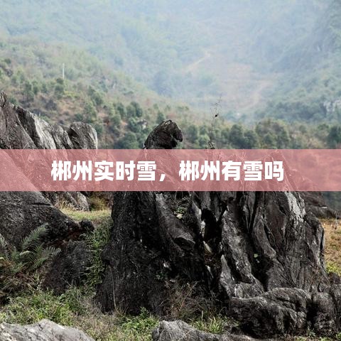 郴州实时雪,郴州有雪吗