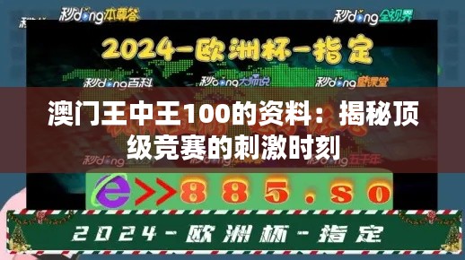 澳门王中王100的资料:揭秘顶级竞赛的刺激时刻