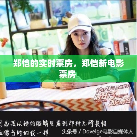 郑恺的实时票房,郑恺新电影票房