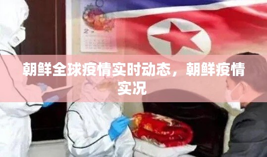 朝鲜全球疫情实时动态,朝鲜疫情实况