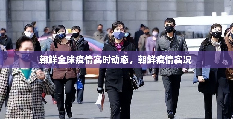 朝鲜全球疫情实时动态,朝鲜疫情实况