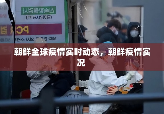 朝鲜全球疫情实时动态,朝鲜疫情实况