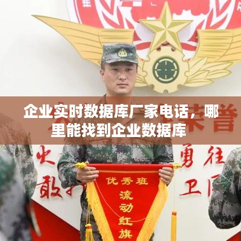企业实时数据库厂家电话,哪里能找到企业数据库