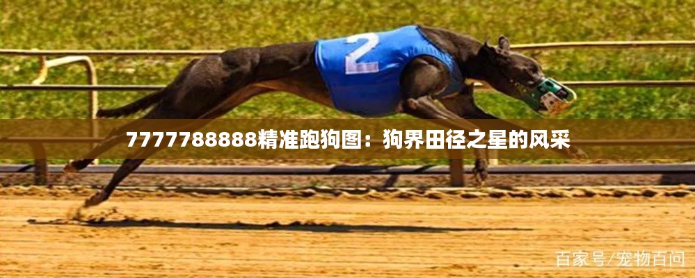 7777788888精准跑狗图:狗界田径之星的风采