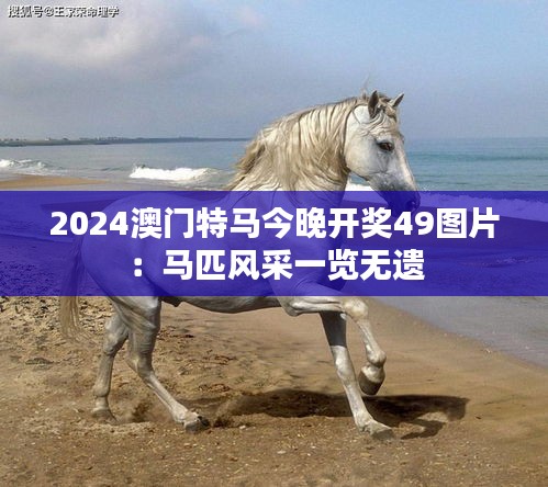 2024澳门特马今晚开奖49图片:马匹风采一览无遗