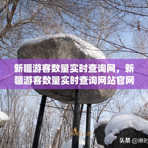 新疆游客数量实时查询网,新疆游客数量实时查询网站官网