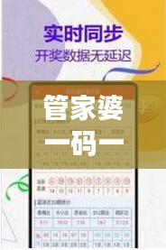 管家婆一码一肖100准:科学管理家庭日常事务