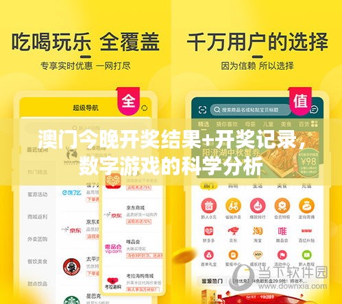 澳门今晚开奖结果+开奖记录,数字游戏的科学分析