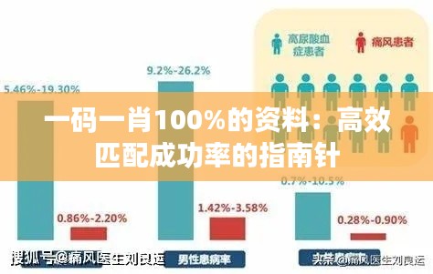 一码一肖100%的资料:高效匹配成功率的指南针