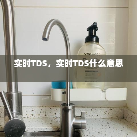 实时TDS,实时TDS什么意思