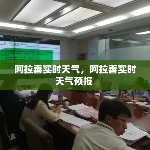 阿拉善实时天气,阿拉善实时天气预报