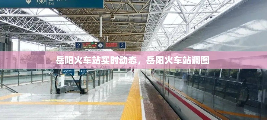 岳阳火车站实时动态,岳阳火车站调图