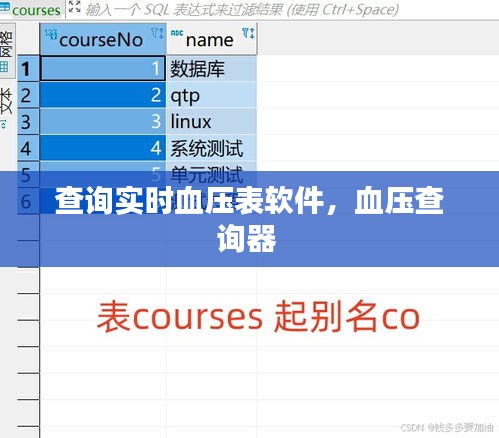 查询实时血压表软件,血压查询器